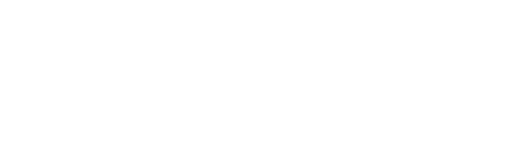 Macro Asset
